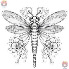 Pin on Butterfly's & Dragonfly's