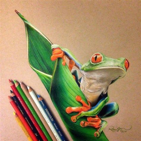 Realistic Color Pencil Animal Drawings | Colorful drawings, Animal drawings, Prismacolor art