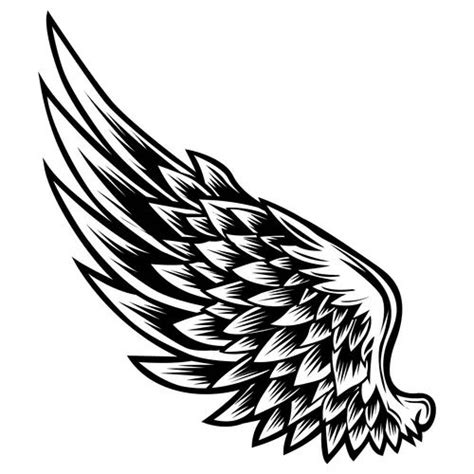 Wings bird black white 555 Royalty Free Vector Image | Angel wings ...
