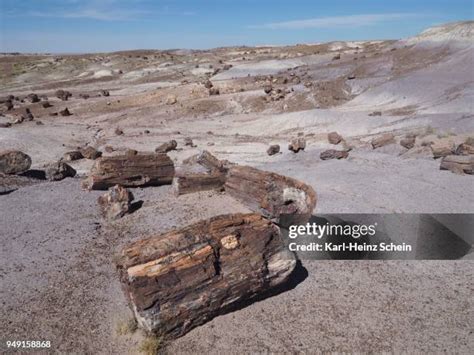 1,678 Petrified Forest National Park Stock Photos, High-Res Pictures ...