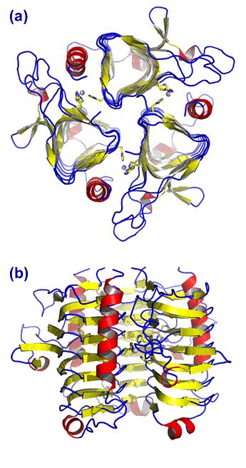 CHEM 245 - Carbonic anhydrase