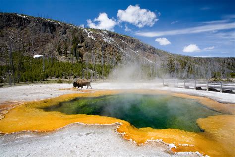 Must Visit Yellowstone National Park Once In Lifetime – The WoW Style