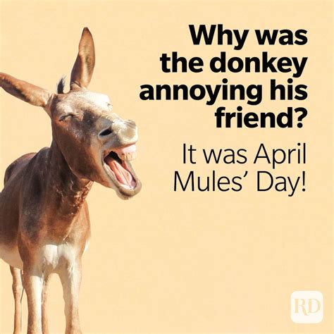 25 Funniest April Fools' Day Jokes | Reader's Digest