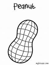 Peanut Coloring Cliparts Clipart Becuo Favorites Add Sketch Page sketch template