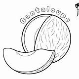Cantaloupe Fruit Coloring Page For Kids And Adults Simple Easy Food  sketch template