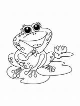 Printable Lovely Frog coloring Page  Download Print Or Color Online sketch template