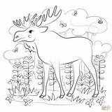 Moose Coloring Page  Free Printable Coloring Pages sketch template