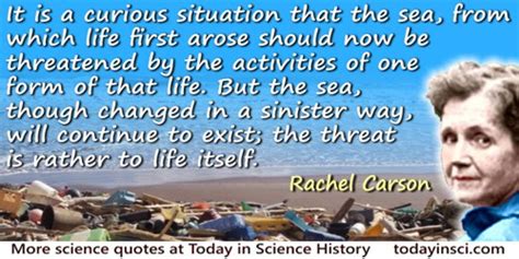 Rachel Carson Quotes - 49 Science Quotes - Dictionary of Science ...