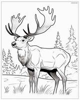 Caribou Coloring Pages For Kids sketch template