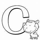 Premium Vector  Coloring alphabet For Kids C sketch template