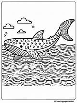 Whale Shark Coloring Pages 9 Free Printable sketch template