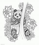Panda Coloring Page  Pages sketch template