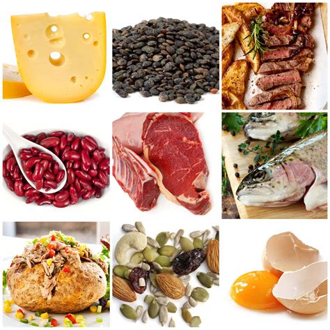 Macronutrients Examples In Food | Bruin Blog