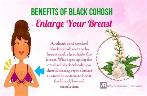 28 Benefits of Black Cohosh Root, Extract, and Tea