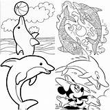25 Free Dolphin Coloring Pages For Kids And Adults sketch template