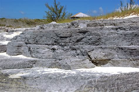 Calcarenite (Hanna Bay Member, Rice Bay Formation, Holocene; Grotto Bay, San Salvador Island ...