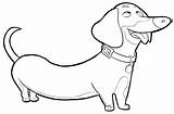Dachshund Coloring Pages  Best For Kids sketch template