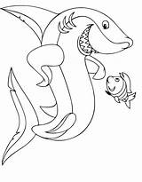 Coloring Picture Shark sketch template