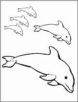 Print Dolphins sketch template