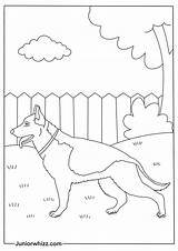 German Shepherd Coloring Pages Printable Free PDFs sketch template