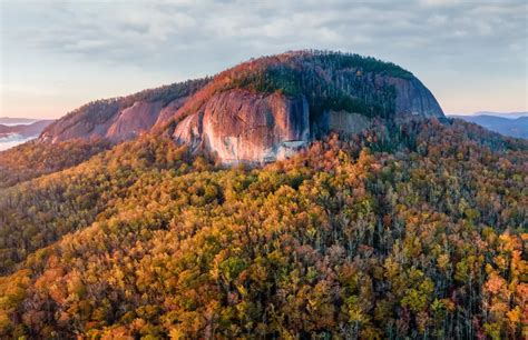 12 Best Hiking Trails Near Waynesville, NC | Easy to Hard