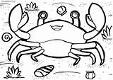 72 Crab Coloring Pages  ColoringPagesOnlycom sketch template