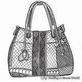 Purse Coloring Pages  Free & Printable sketch template