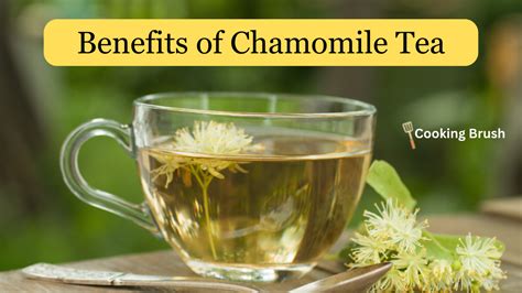 Benefits of Chamomile Tea: A Soothing Elixir for Mind and Body ...