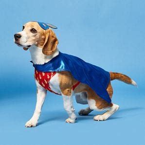 Incredibunnies Dog Costume Flynn | Target Australia