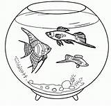 Aquarium Fish Coloring Pages  sketch template