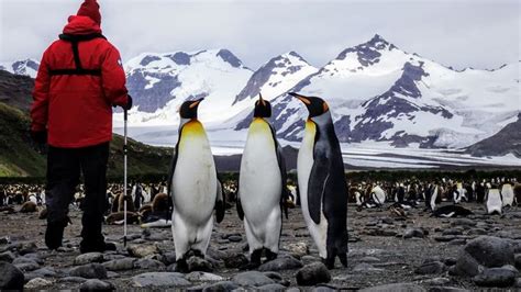 Part 1: An Expedition to Antarctica | Antarctica cruise, Cruise, Antarctica