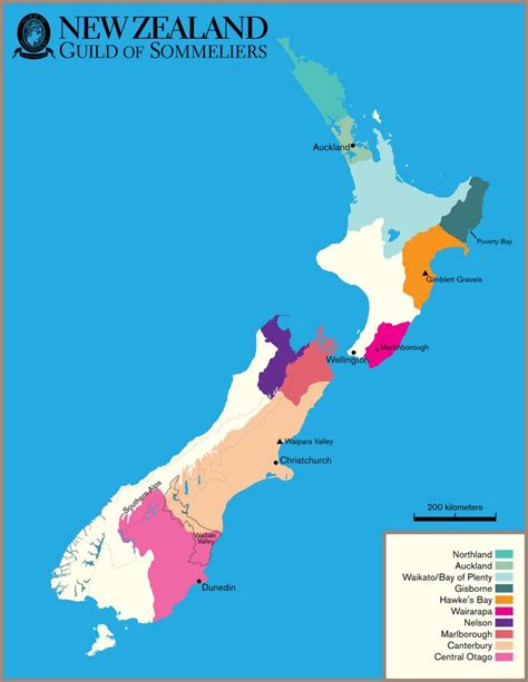 New Zealand Wine Regions | Vinos, Vino, Nueva zelanda