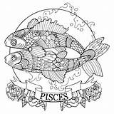 Pisces Zodiac Sign Coloring Book Vector Stock  Illustration Of sketch template