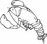 Lobster 26 sketch template