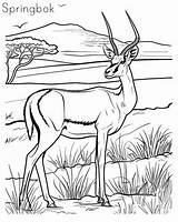 The Karoo Habitat Coloring Pages sketch template