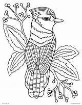 Coloring Pages  Free Printable sketch template
