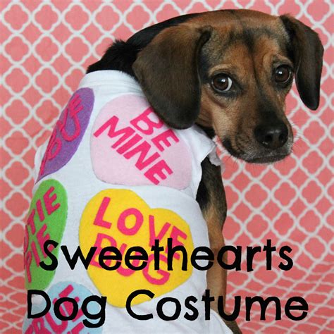 DIY Valentine Sweethearts Costume for Dogs