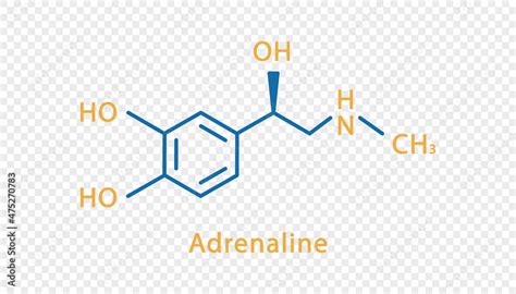 Adrenaline chemical formula. Adrenaline structural chemical formula isolated on transparent ...