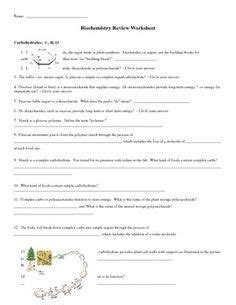 Biomolecules Concept Map Worksheet | Biochemistry, Map worksheets ...