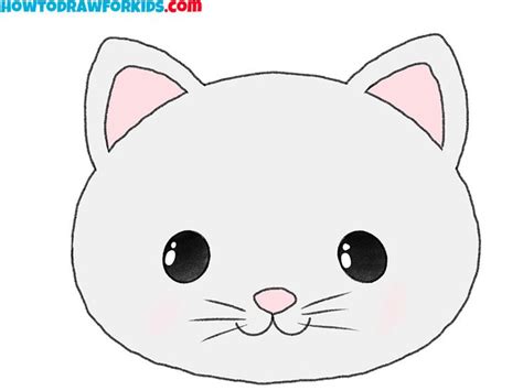 How to Draw a Cat Face for Beginners