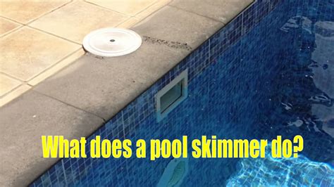 What Is A Pool Skimmer And What Does It Do?