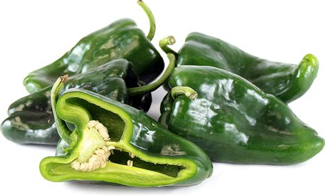 Green Pasilla Chile Peppers Information and Facts Types Of Peppers, Food Hacks, Food Tips, Chile ...