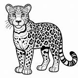 Leopard Coloring Pages 7  Gem sketch template