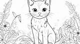 Kucing Mewarnai Lucu Hewan Sketsa Bertopi Mewarna Kartun Diwarnai Warna  sketch template