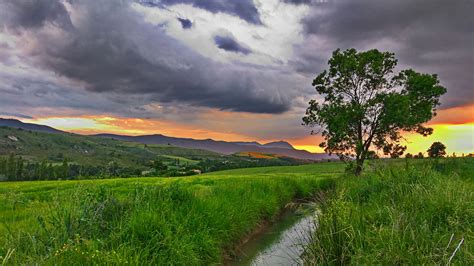 Atardecer en el campo | 365