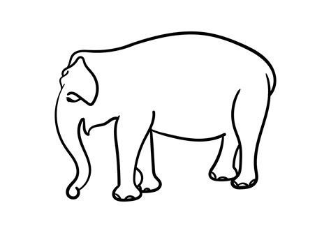 simple elephant hand drawing 5194973 Vector Art at Vecteezy