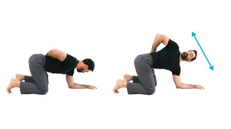 6 Daily Back Stretches For Flexibility And Spinal Health