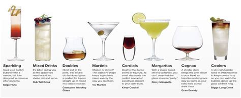 Types of Cocktail Glasses: An In-Depth Guide | Crate & Barrel