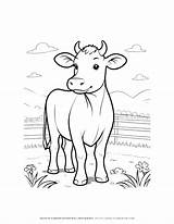 Cute Cow Drawing Coloring Page For Kids  Enjoyable And Educational sketch template