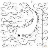 Catfish Coloring Page  Free Printable Coloring Pages sketch template